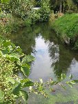 IMG_8993.JPG