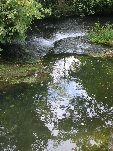 IMG_8999.JPG