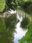 IMG_9001.JPG