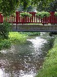 IMG_9016.JPG