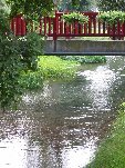 IMG_9017.JPG