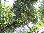 IMG_1035.jpg