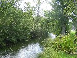 IMG_1036.jpg