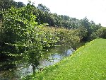 IMG_1037.jpg