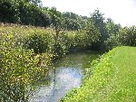 IMG_1039.jpg