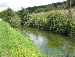 IMG_1041.jpg