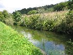 IMG_1042.jpg