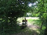 IMG_1044.jpg