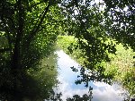 IMG_1046.jpg