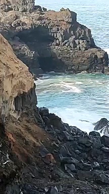 Dailymotion Denuncian nuevos vertidos de aguas fecales a la costa de Punta Brava