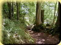 Chemin de randonnées