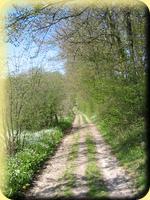 Chemin de randonnées